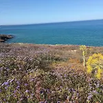 בית נופש N'amuri רייטאני